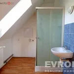 Pronajměte si 2 ložnic/e byt o rozloze 45 m² v Trhový Štěpánov