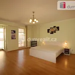 Rent 3 bedroom apartment of 113 m² in Karlovy Vary