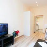 Rent 1 bedroom apartment in Praha 2