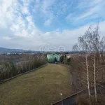 Rent 1 bedroom apartment in Sokolov