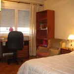 Alquilar 5 dormitorio apartamento en Salamanca