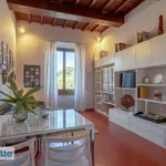 Rent 2 bedroom apartment of 55 m² in Florence