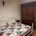 Rent 2 bedroom apartment of 46 m² in Rosignano Marittimo