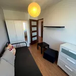 Rent 2 bedroom apartment of 42 m² in Nowy Sącz