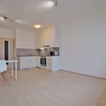 Rent 1 bedroom apartment of 30 m² in Capital City of Prague