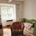 Rent 2 bedroom apartment of 44 m² in Hradec Králové