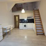 Rent 1 bedroom apartment of 20 m² in Pilsen