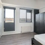 Diabellistraat, Capelle aan den IJssel - Amsterdam Apartments for Rent