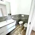 Rent 4 bedroom apartment of 100 m² in Piacenza