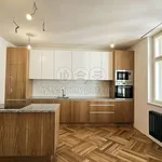 Rent 2 bedroom apartment of 99 m² in Praha