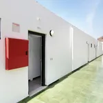 Rent 1 bedroom apartment of 40 m² in Mogán