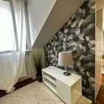 Rent 2 bedroom apartment of 40 m² in Turin