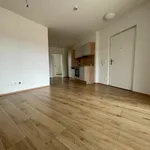 Rent 3 bedroom apartment of 56 m² in Graz