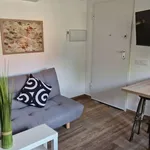 Rent 1 bedroom apartment of 35 m² in madrid