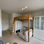 Rent 1 bedroom apartment in Leuven