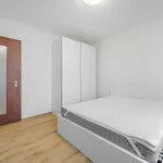 Rent 3 bedroom apartment of 80 m² in Capital City of Prague