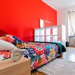 Rent a room in turin