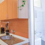 Rent 1 bedroom apartment in Blansko