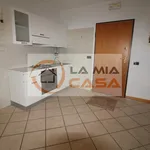 Rent 3 bedroom apartment of 110 m² in legnaro