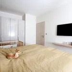 Rent 1 bedroom apartment of 50 m² in Capital City of Prague