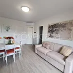 Rent 2 bedroom apartment of 55 m² in Colico