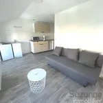 Rent 1 bedroom apartment of 27 m² in GRENOBLE