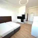 Rent 1 bedroom apartment in Praha 9