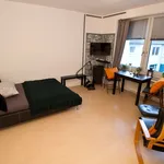 Rent 1 bedroom apartment of 28 m² in Dusseldorf