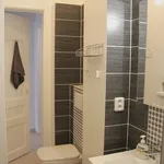 Rent 1 bedroom apartment in Prague