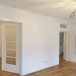 Rent 1 bedroom apartment in Wissembourg