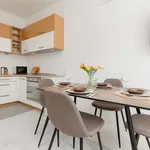 Rent 1 bedroom apartment in warsaw