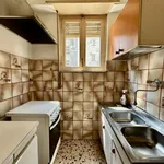 Rent 1 bedroom apartment of 65 m² in Torino