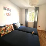 Rent 1 bedroom apartment in Trento