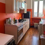 Rent 2 bedroom apartment of 65 m² in Milano