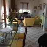 Appartamento arredato con terrazzo Centro