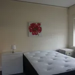 Rent a room in West Midlands