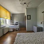 Rent 2 bedroom apartment of 50 m² in Toruń