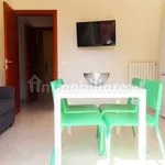 Rent 2 bedroom apartment of 55 m² in Novara