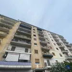 Affitto 2 camera appartamento di 60 m² in Palermo