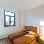 Rent 1 bedroom apartment in Porto