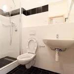 Rent 1 bedroom apartment in Prague