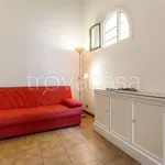 Rent 1 bedroom apartment of 60 m² in Prato