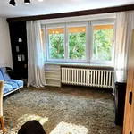 Rent 2 bedroom apartment of 46 m² in Łódź