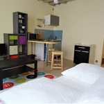 Rent 1 bedroom apartment of 22 m² in ORLEANS