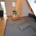 Rent 2 bedroom house of 45 m² in Cologne