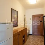 Rent 3 bedroom apartment of 80 m² in Genova