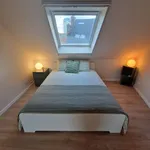 Rent 2 bedroom apartment in Gent