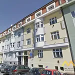 Rent 1 bedroom apartment of 35 m² in Hradec Králové