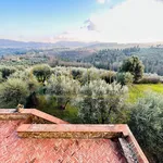 Rent 8 bedroom apartment of 300 m² in Firenze