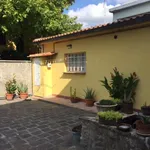 Rent 1 bedroom house of 35 m² in Calcinaia